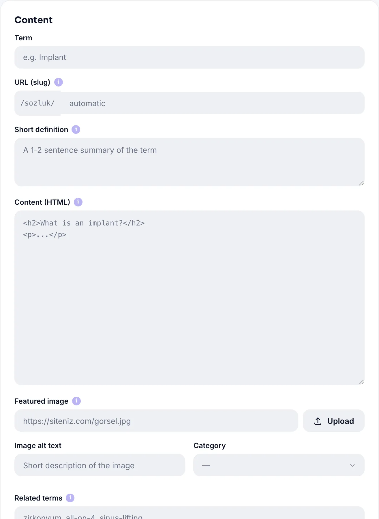 Term editor: term name, slug, short definition, content and image fields